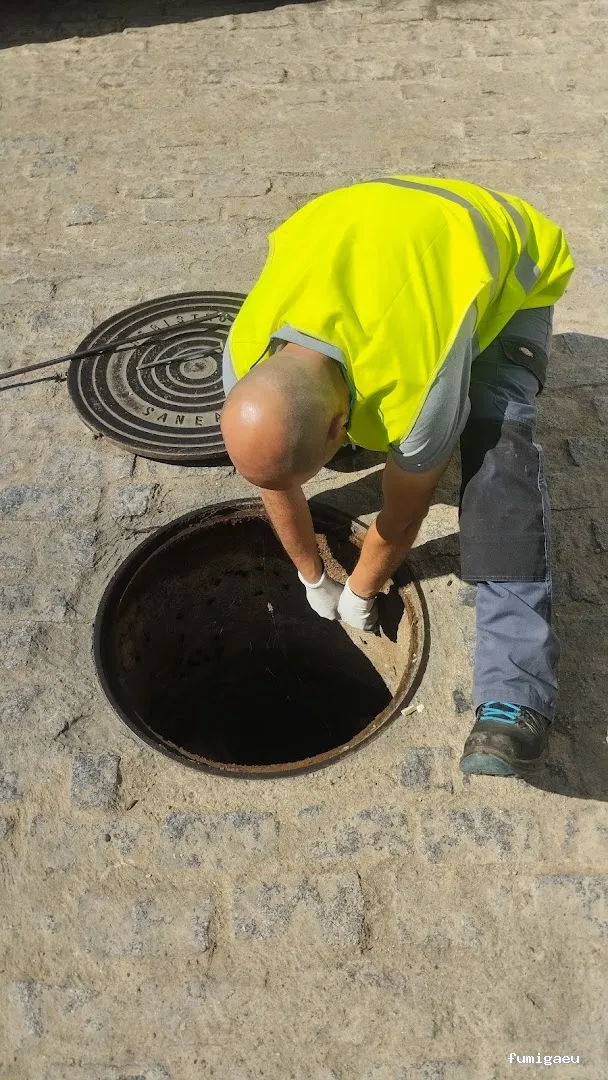 Joviquiye control de plagas S. L