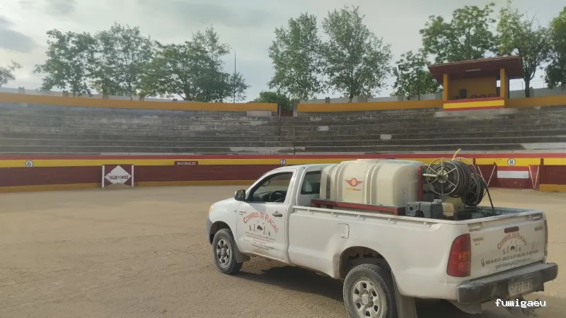 Joviquiye control de plagas S. L