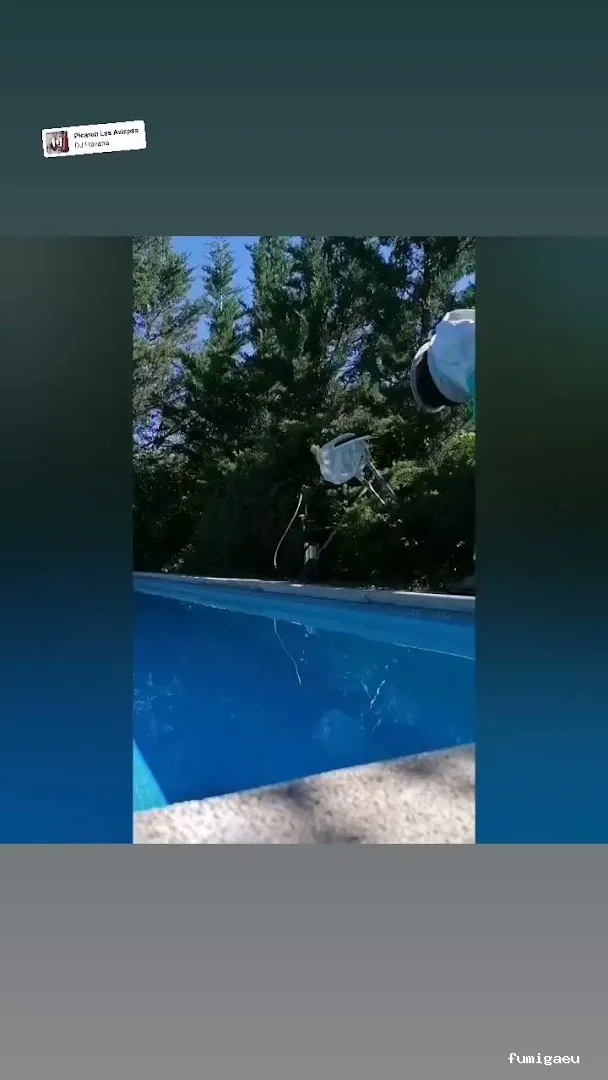 Joviquiye control de plagas S. L