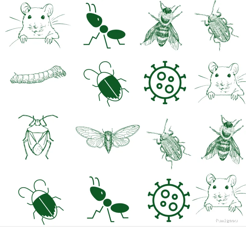 SERGASA CONTROL DE PLAGAS