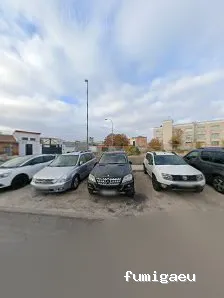 Multiservicios Vertical