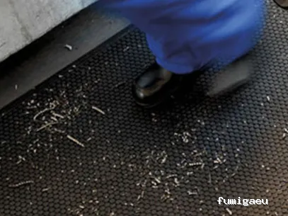 Rentokil Control de Plagas en Zaragoza