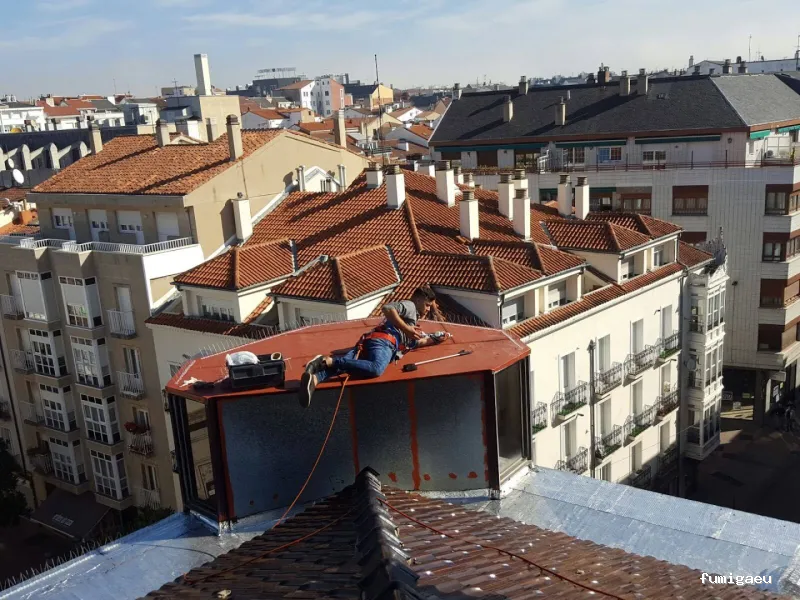 Desinfecciones Daraba Control de Plagas