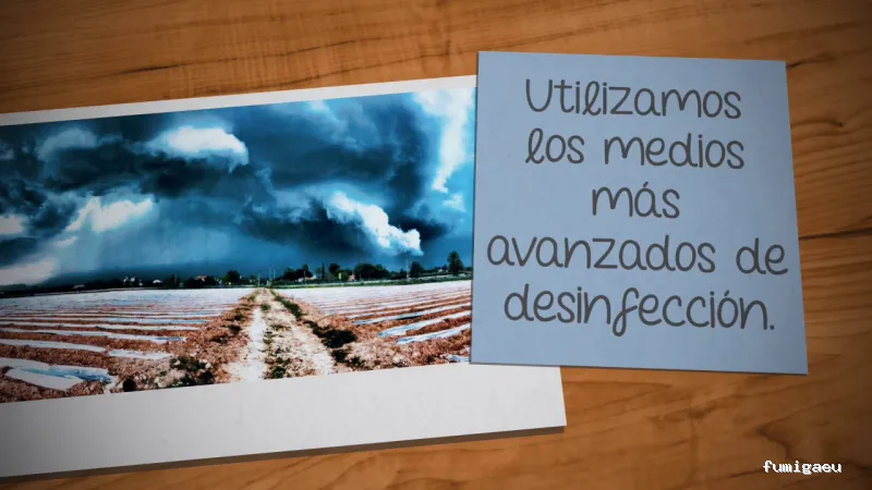 Ozoncontrol Alicante