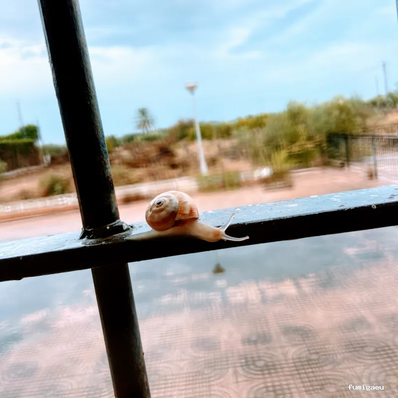 Ozoncontrol Alicante