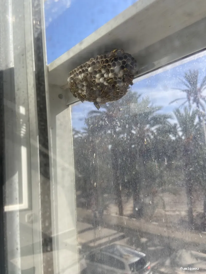 Ozoncontrol Alicante