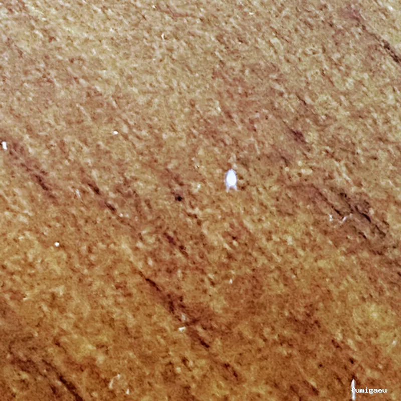 Ozoncontrol Alicante