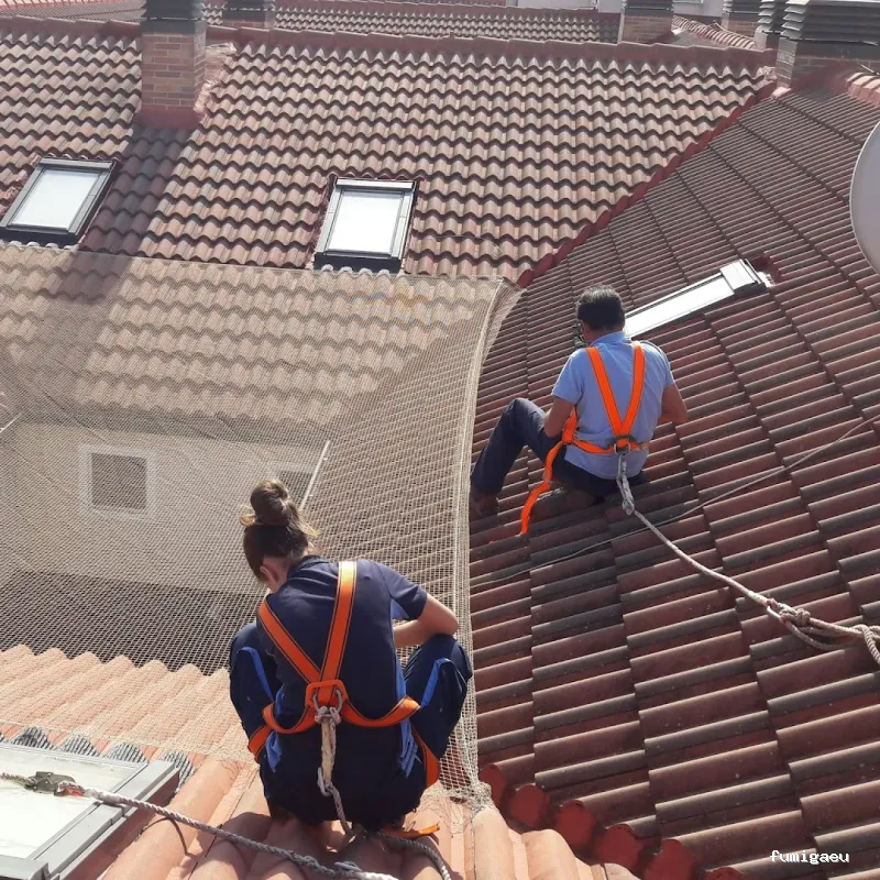 Exprodim - Control de Plagas Madrid - Expertos en la eliminación de chinches