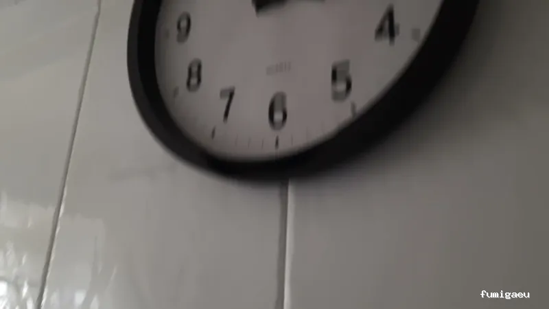 Exprodim - Control de Plagas Madrid - Expertos en la eliminación de chinches