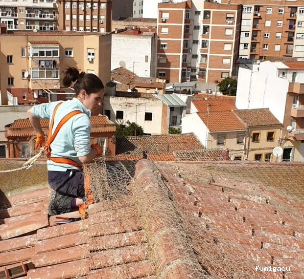 Exprodim - Control de Plagas Madrid - Expertos en la eliminación de chinches