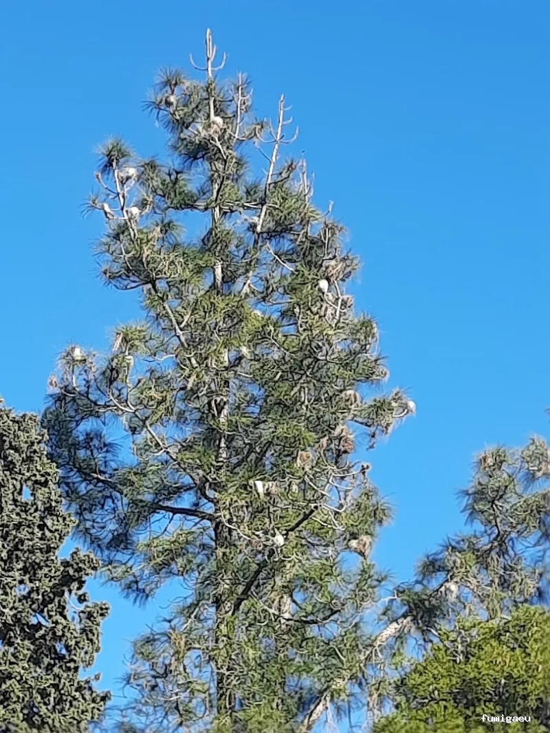 Exprodim - Control de Plagas Madrid - Expertos en la eliminación de chinches