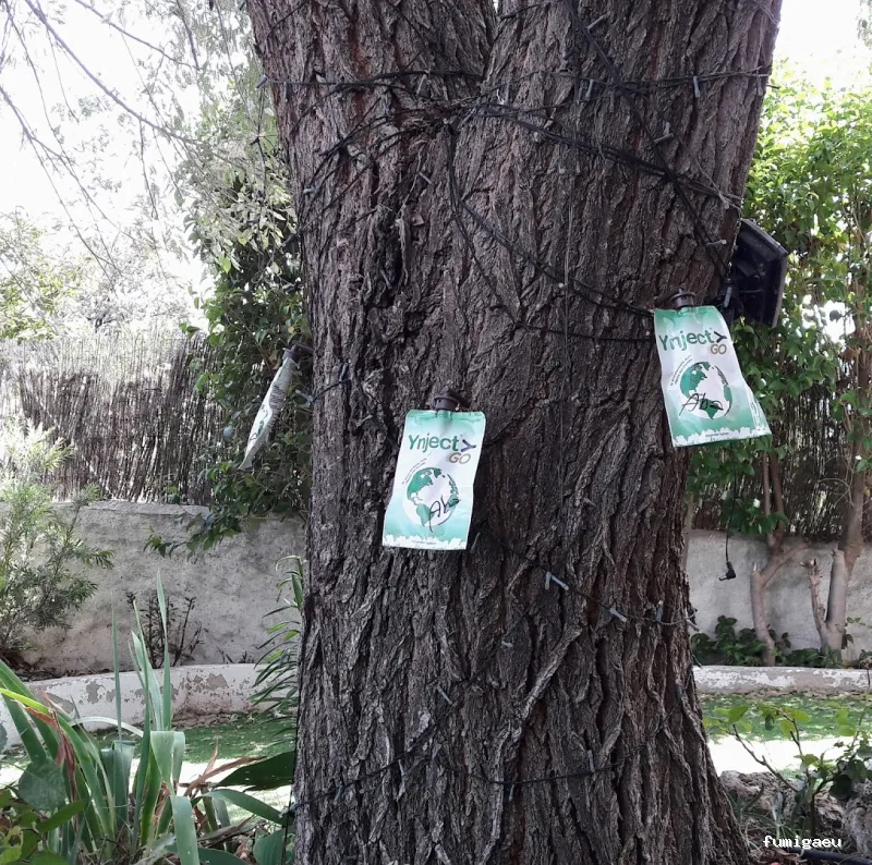 Exprodim - Control de Plagas Madrid - Expertos en la eliminación de chinches