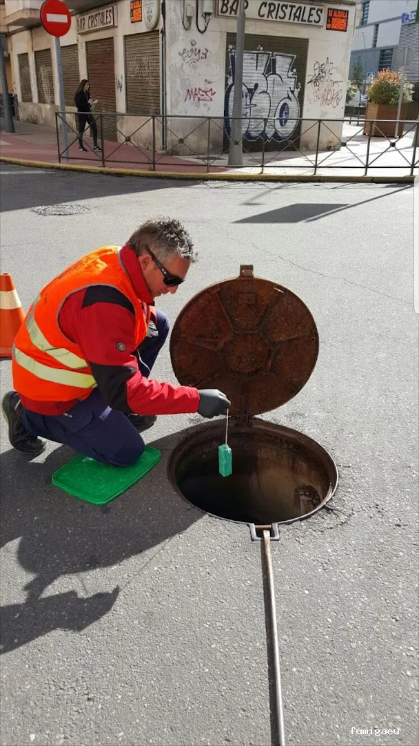 Exprodim - Control de Plagas Madrid - Expertos en la eliminación de chinches