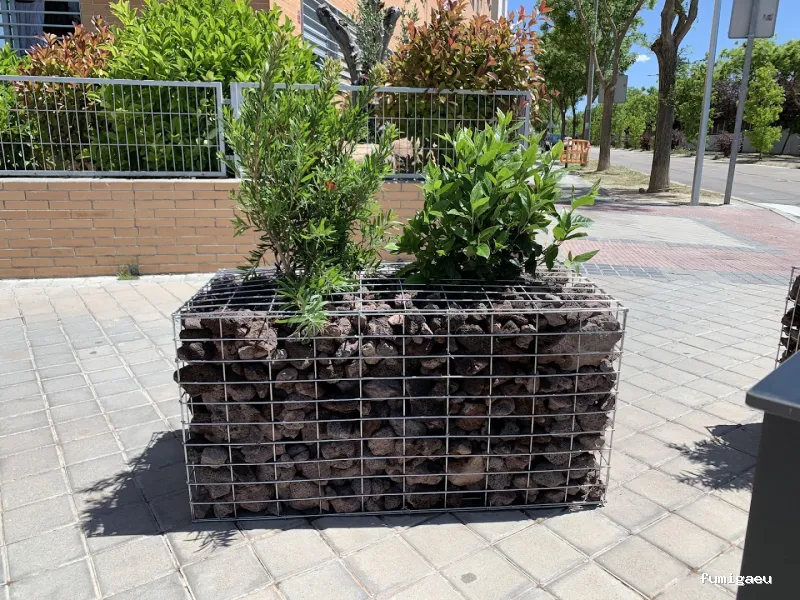 Maier-Maier Jardineros