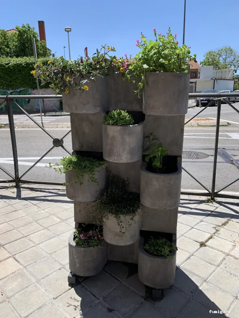 Maier-Maier Jardineros