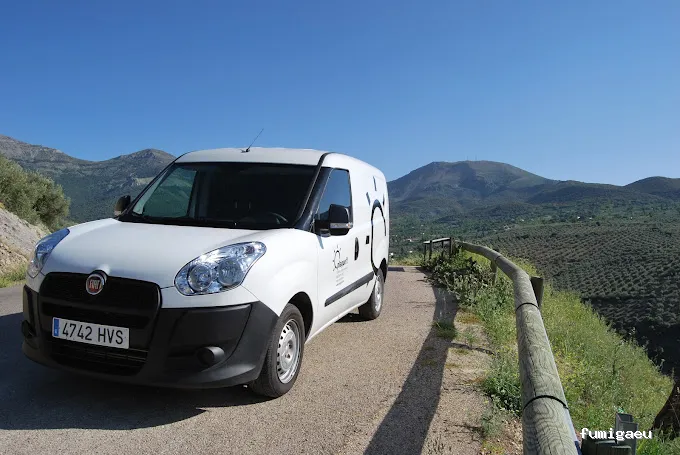 PLAGUEFIT. Control de Plagas y Desinfecciones