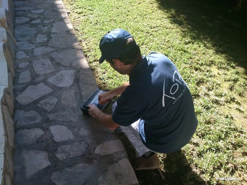 TOPOS CONTROL DE PLAGAS