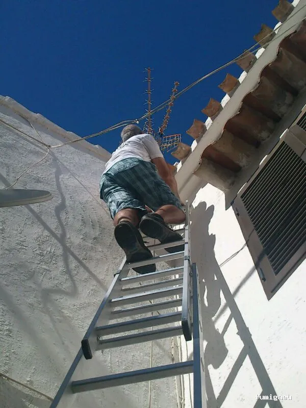 TOPOS CONTROL DE PLAGAS