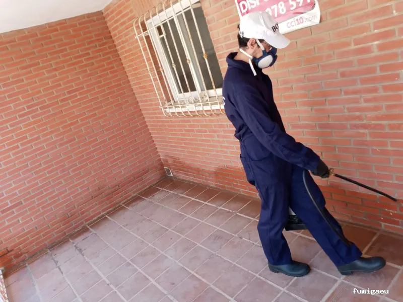 TOPOS CONTROL DE PLAGAS