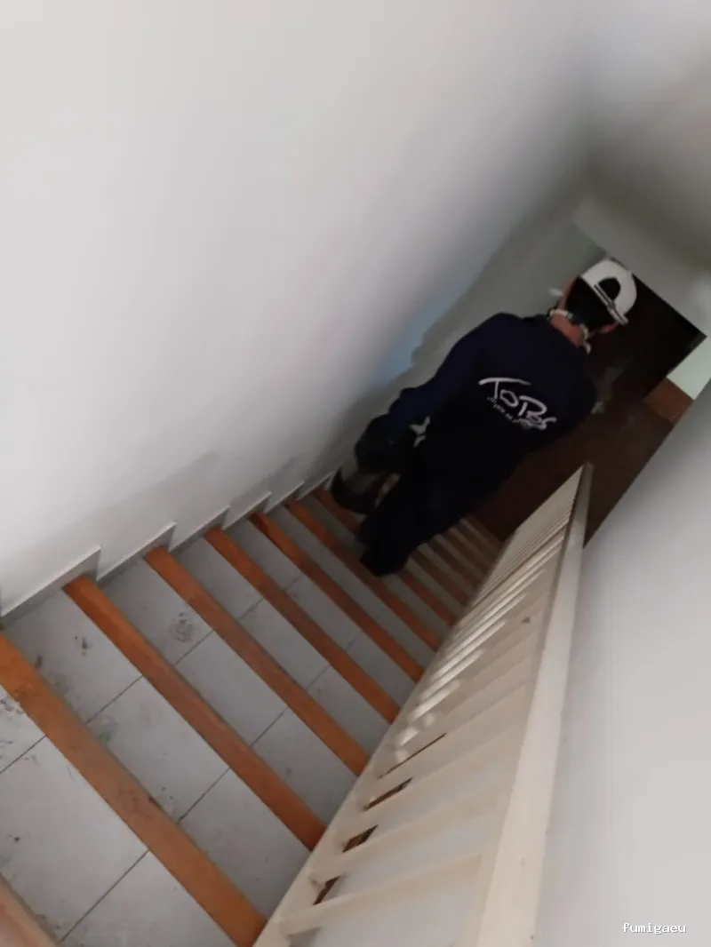 TOPOS CONTROL DE PLAGAS