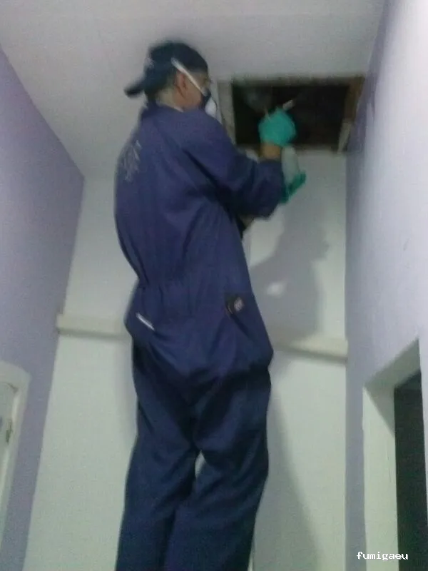 TOPOS CONTROL DE PLAGAS