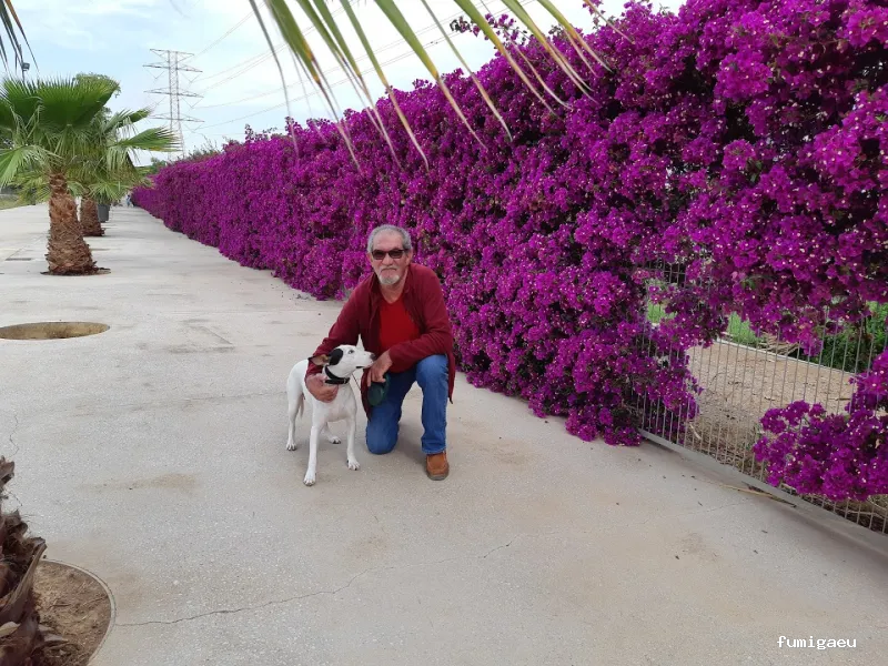 T Monzó Control & Gestión De Plagas