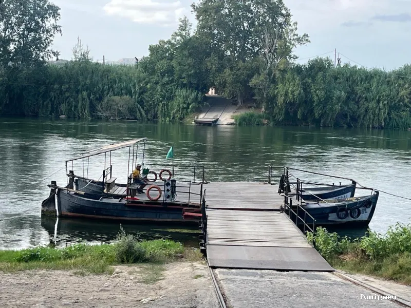 ForaPlagues - Assessorament i Control de Plagues DDD - Desinfeccions i Fumigacions