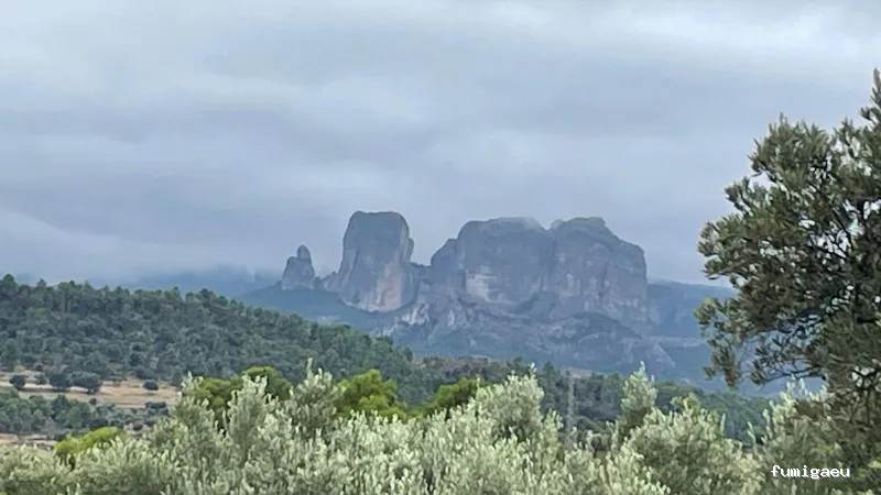 ForaPlagues - Assessorament i Control de Plagues DDD - Desinfeccions i Fumigacions