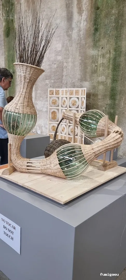 ForaPlagues - Assessorament i Control de Plagues DDD - Desinfeccions i Fumigacions