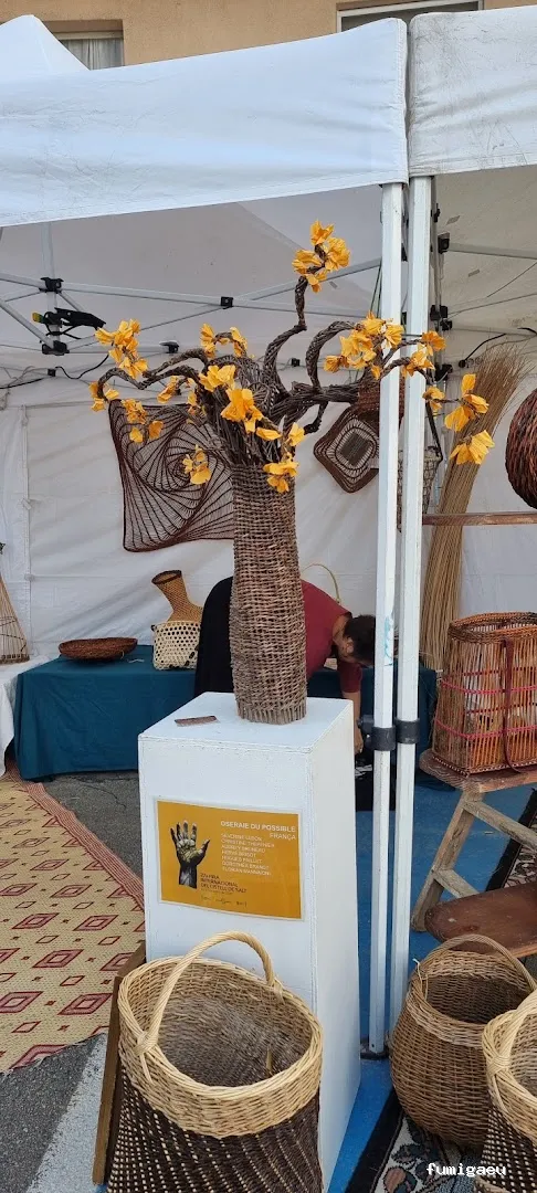 ForaPlagues - Assessorament i Control de Plagues DDD - Desinfeccions i Fumigacions