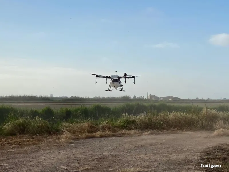 CTL Sanidad Ambiental