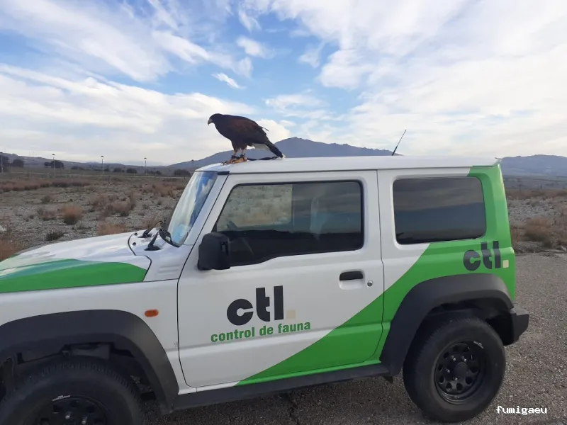 CTL Sanidad Ambiental