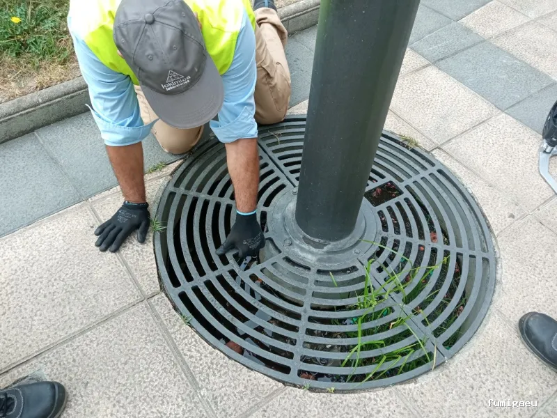 Lokímica Guipúzcoa