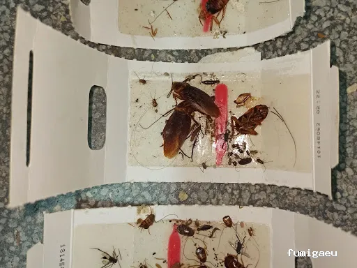 BIOSVAL AMBIENTAL, S.L.