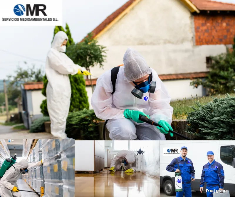 MR Servicios Medioambientales SL