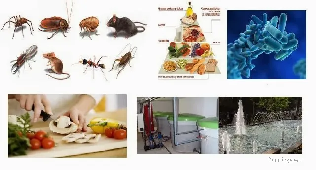 MR Servicios Medioambientales SL