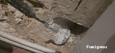 EGRALI , control de plagas