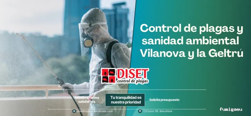 Diset Control de Plagas Vilanova i la Geltrú