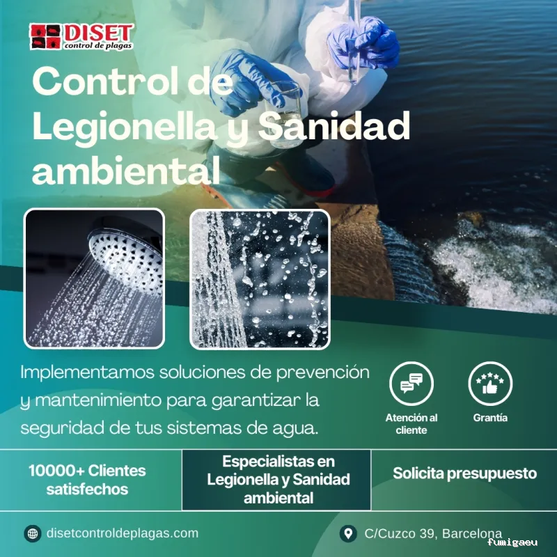 Diset Control de Plagas Vilanova i la Geltrú