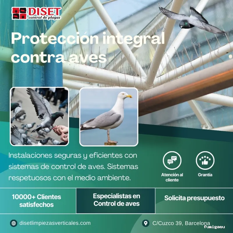 Diset Control de Plagas Vilanova i la Geltrú