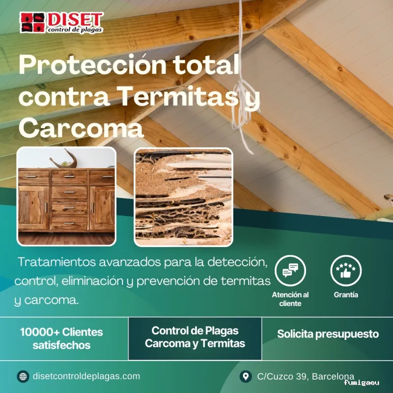 Diset Control de Plagas Vilanova i la Geltrú