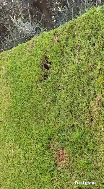 Controlkill365 Barcelona