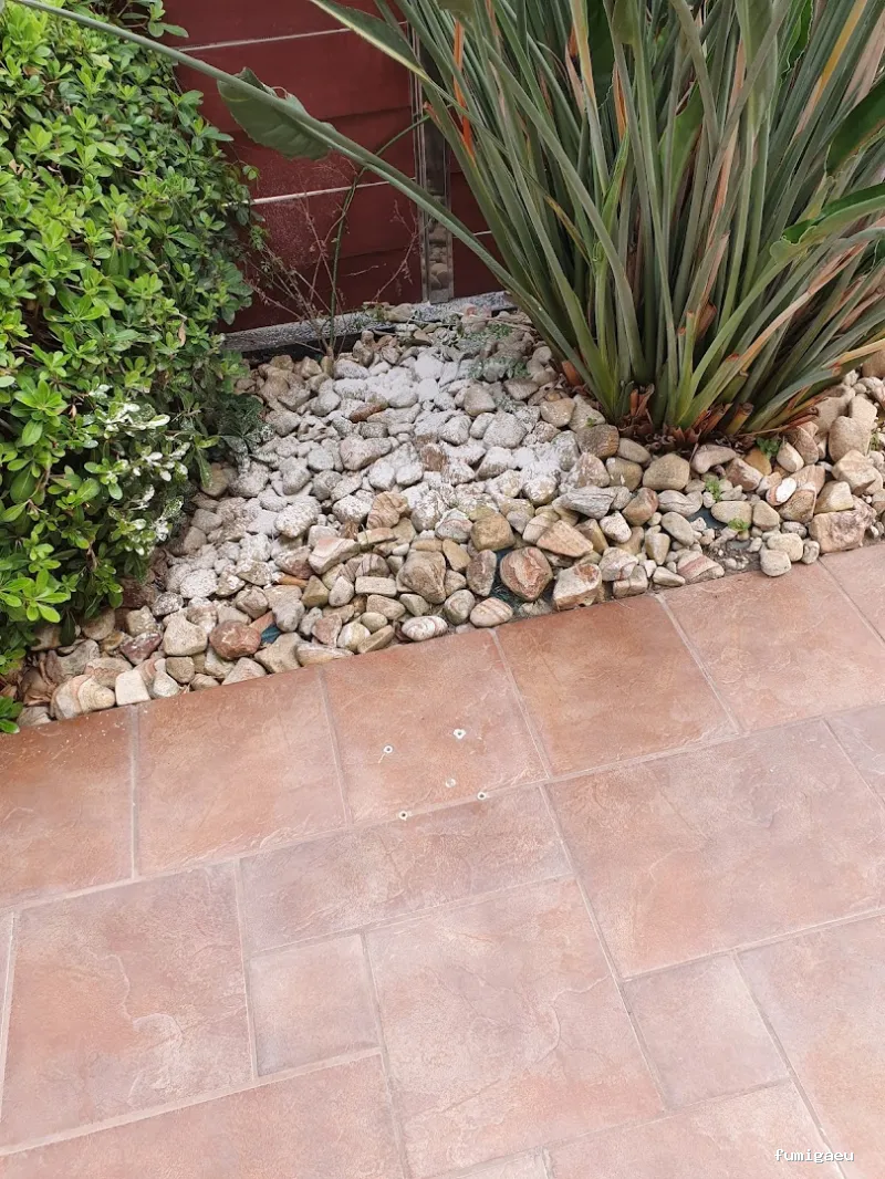 Controlkill365 Barcelona