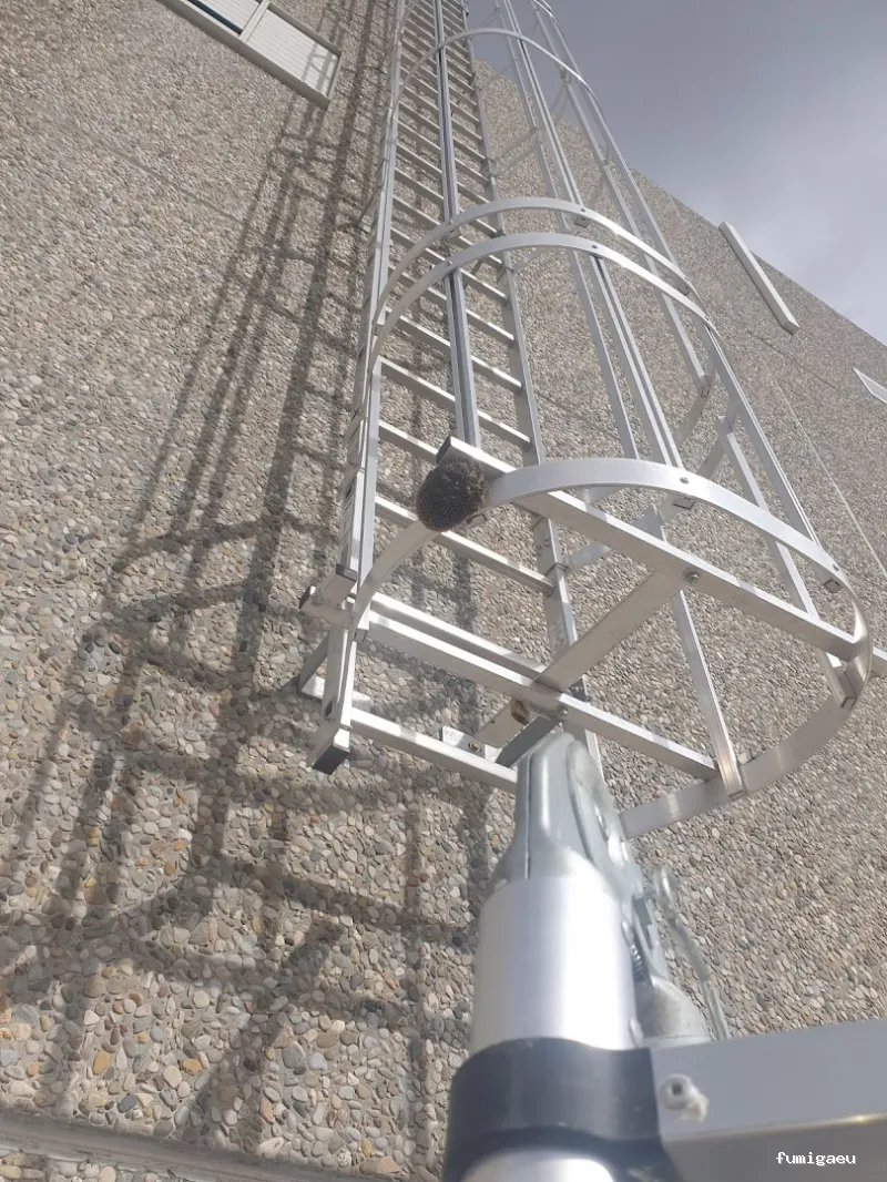 Controlkill365 Barcelona