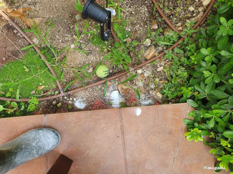 Controlkill365 Barcelona