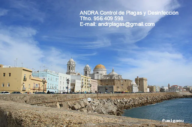 ANDRA Control De Plagas y Desinfección