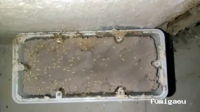 ANDRA Control De Plagas y Desinfección