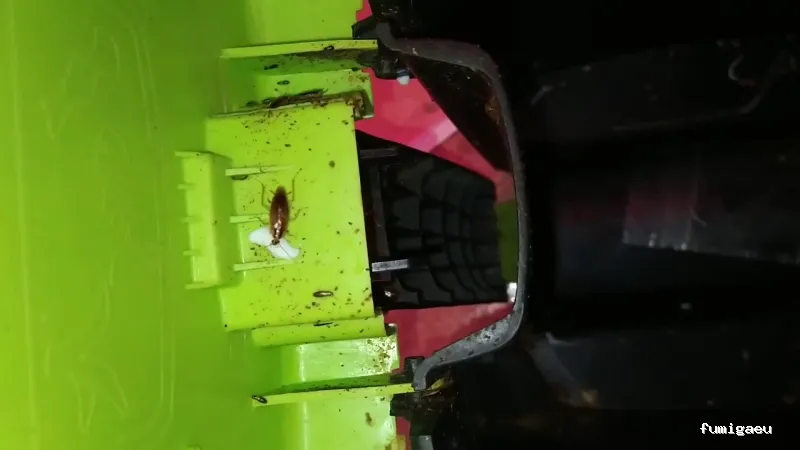 ANDRA Control De Plagas y Desinfección