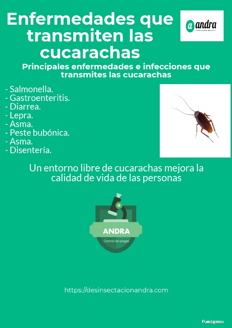 ANDRA Control De Plagas y Desinfección
