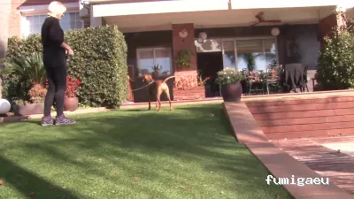 Solochinches · Expertos en Chinches